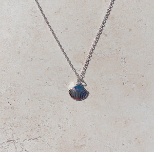 SCALLOP Shell Necklace | 14kt Gold