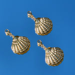 'NEW' SCALLOP SHELL Charm | Gold