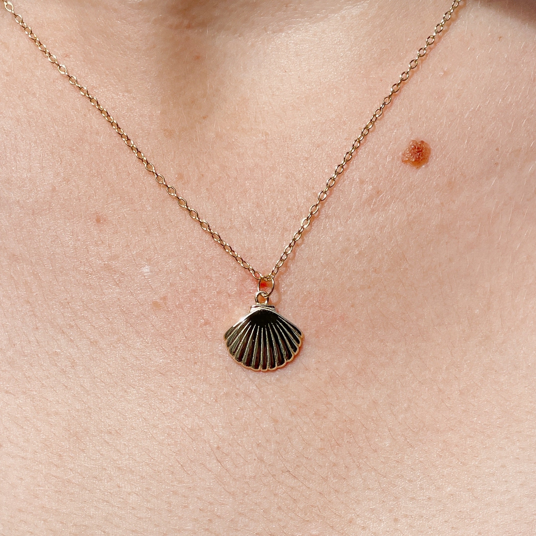 SCALLOP Shell Necklace | 14kt Gold