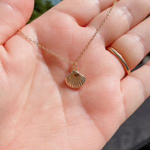 SCALLOP Shell Necklace | 14kt Gold