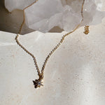 CHARMED Northern Star Encrusted Necklace | Gold