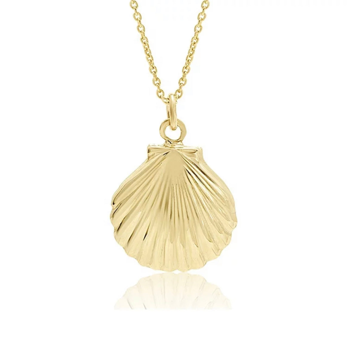 SCALLOP Shell Necklace | 14kt Gold